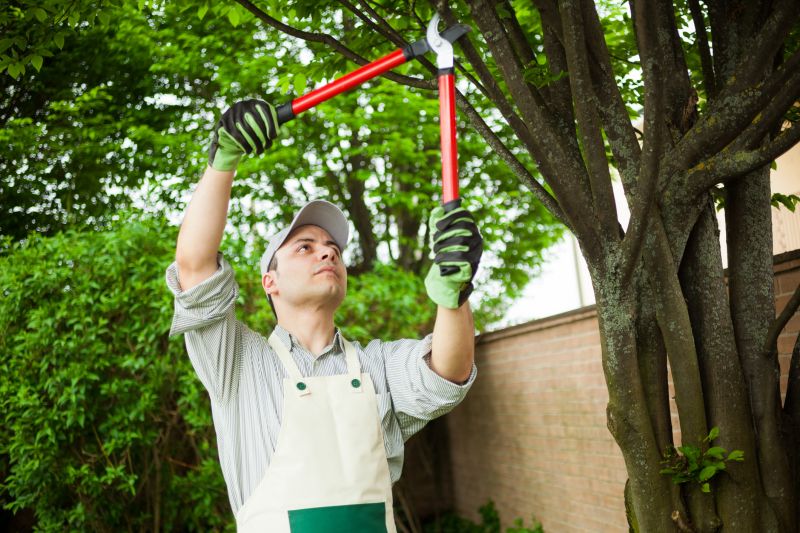 Tree Branch Cutting in Doylestown, PA